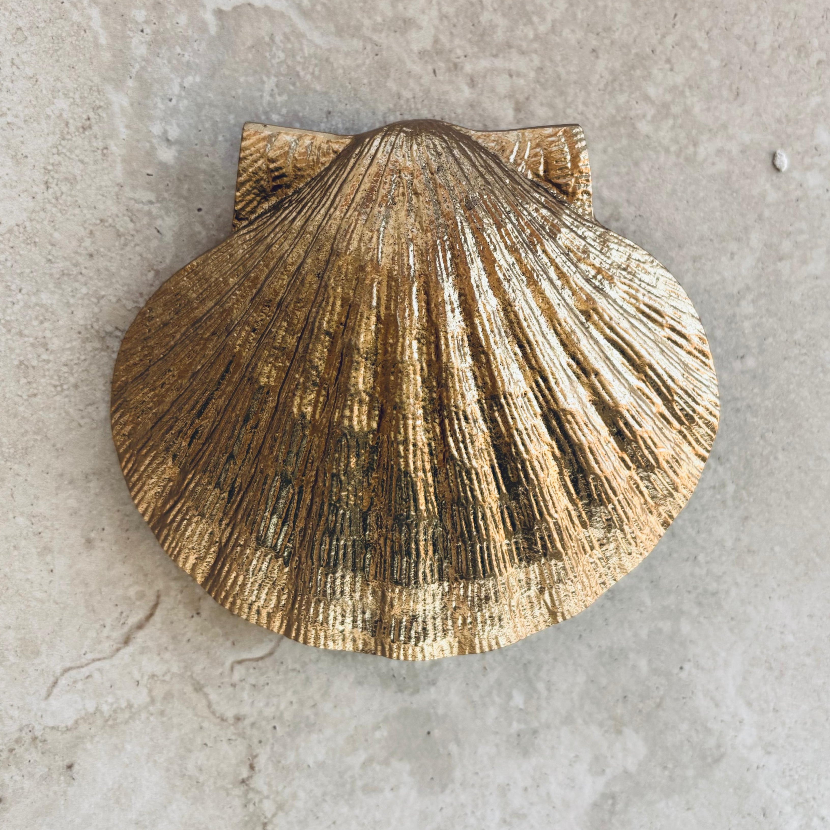 BEACHCOMBER SHELL DOOR KNOCKER ~ BRASS