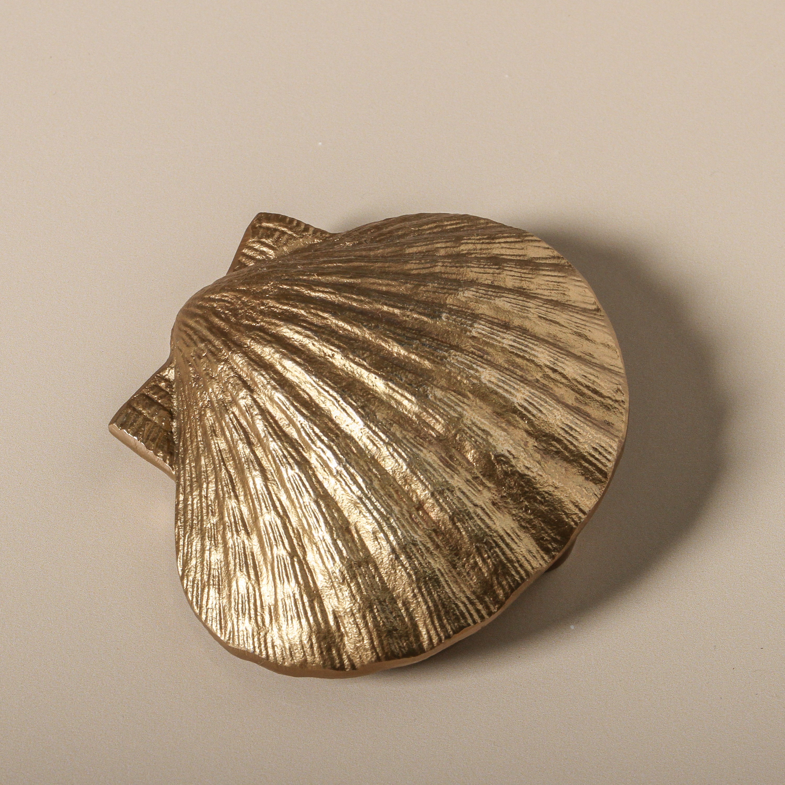 BEACHCOMBER SHELL DOOR KNOCKER ~ BRASS