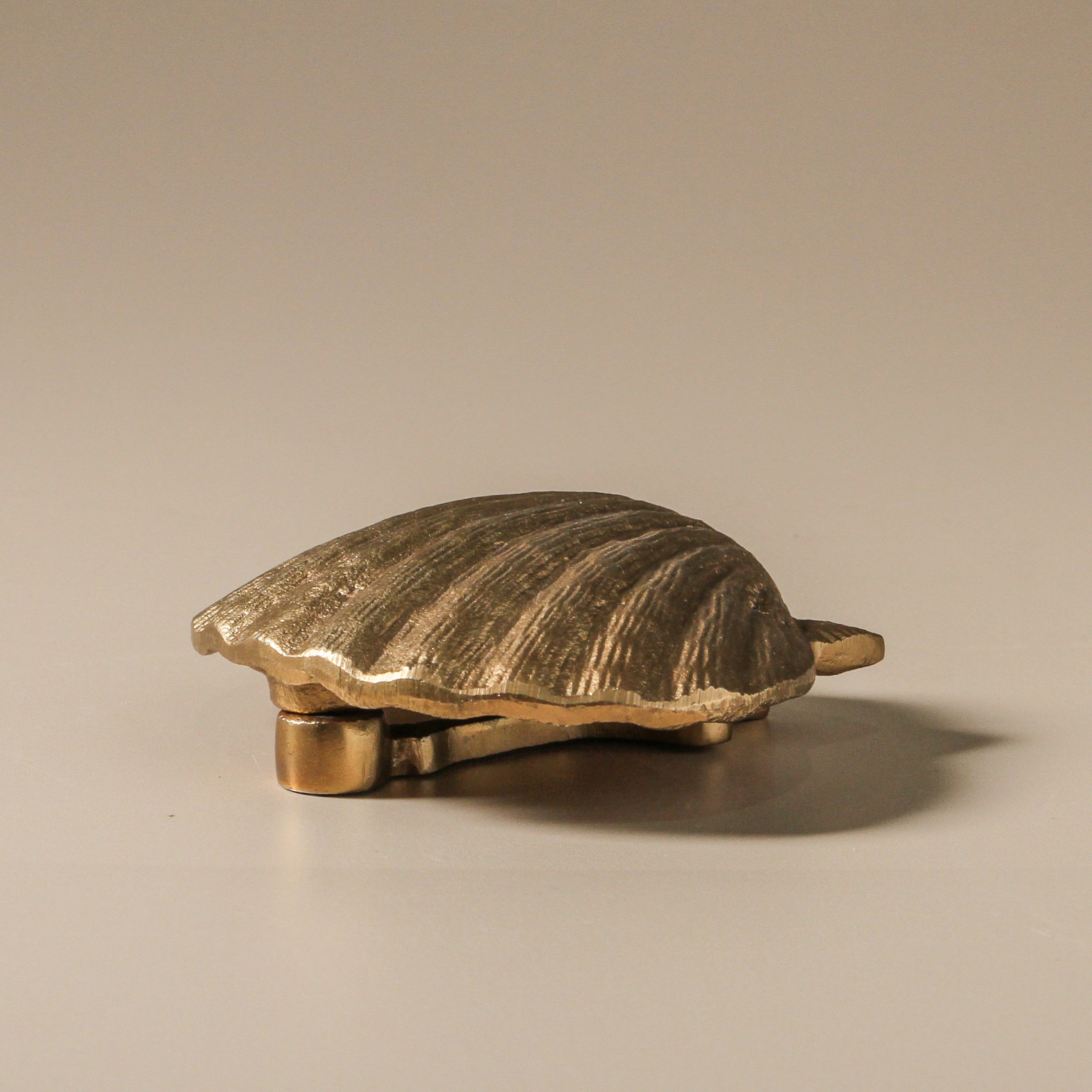 BEACHCOMBER SHELL DOOR KNOCKER ~ BRASS