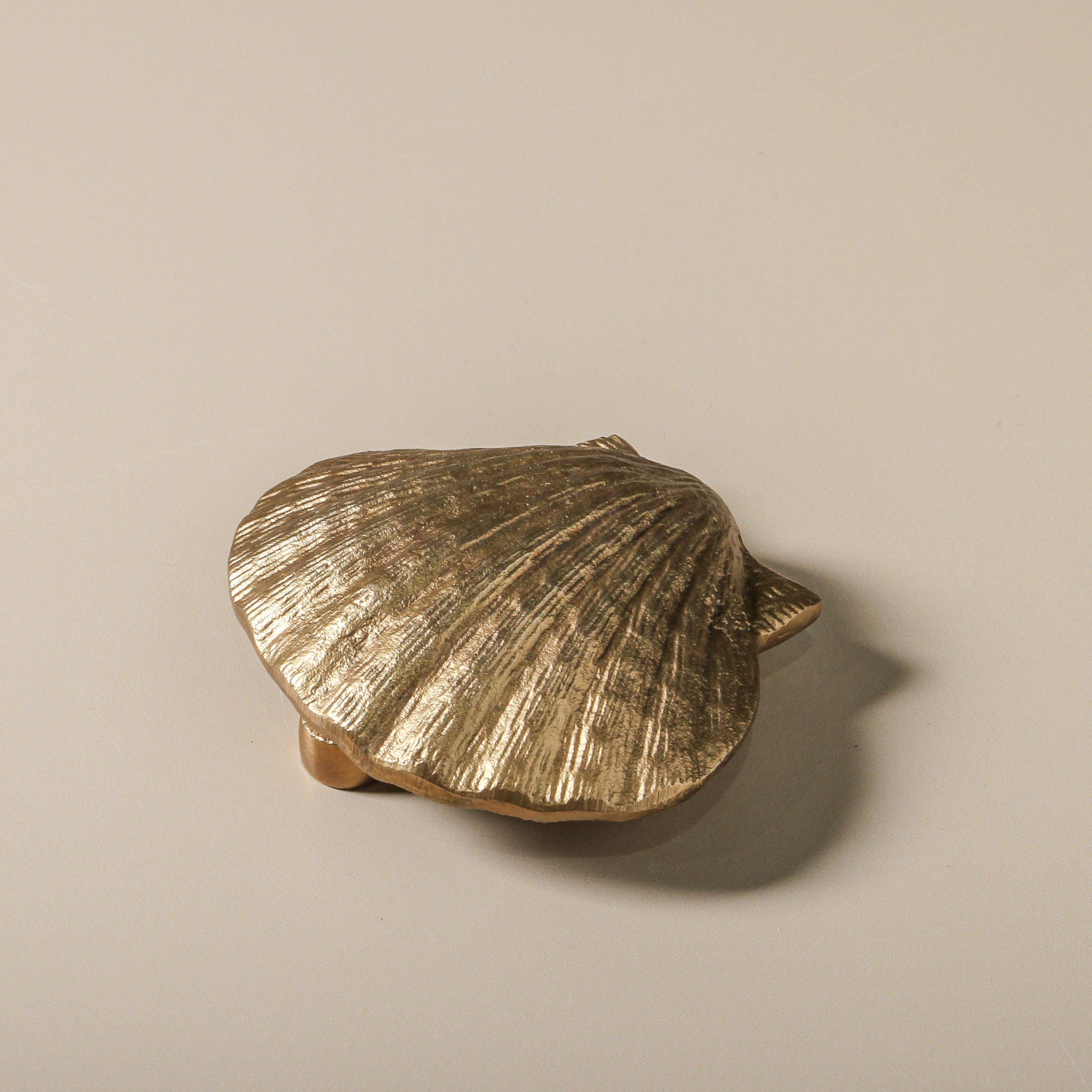 BEACHCOMBER SHELL DOOR KNOCKER ~ BRASS