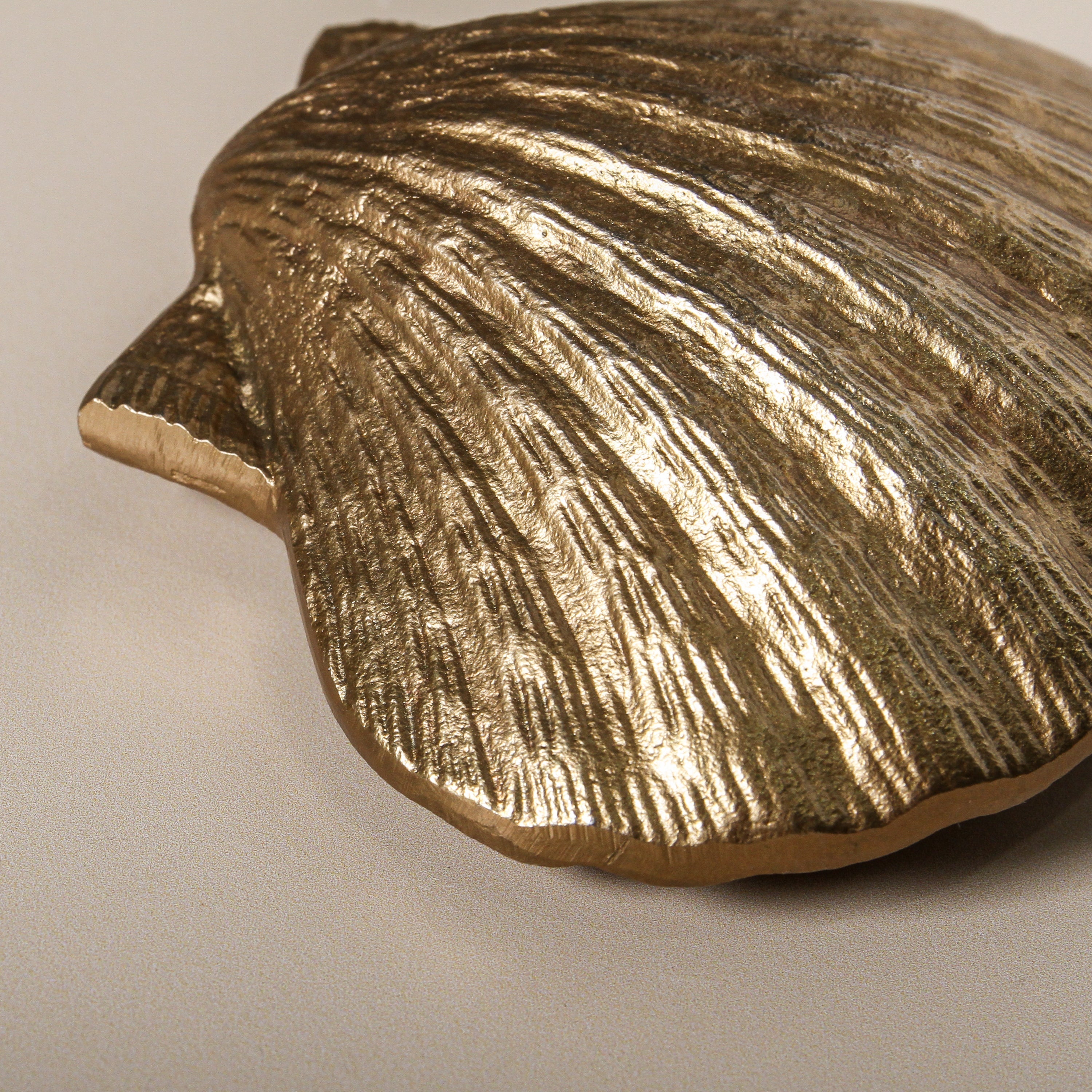 BEACHCOMBER SHELL DOOR KNOCKER ~ BRASS