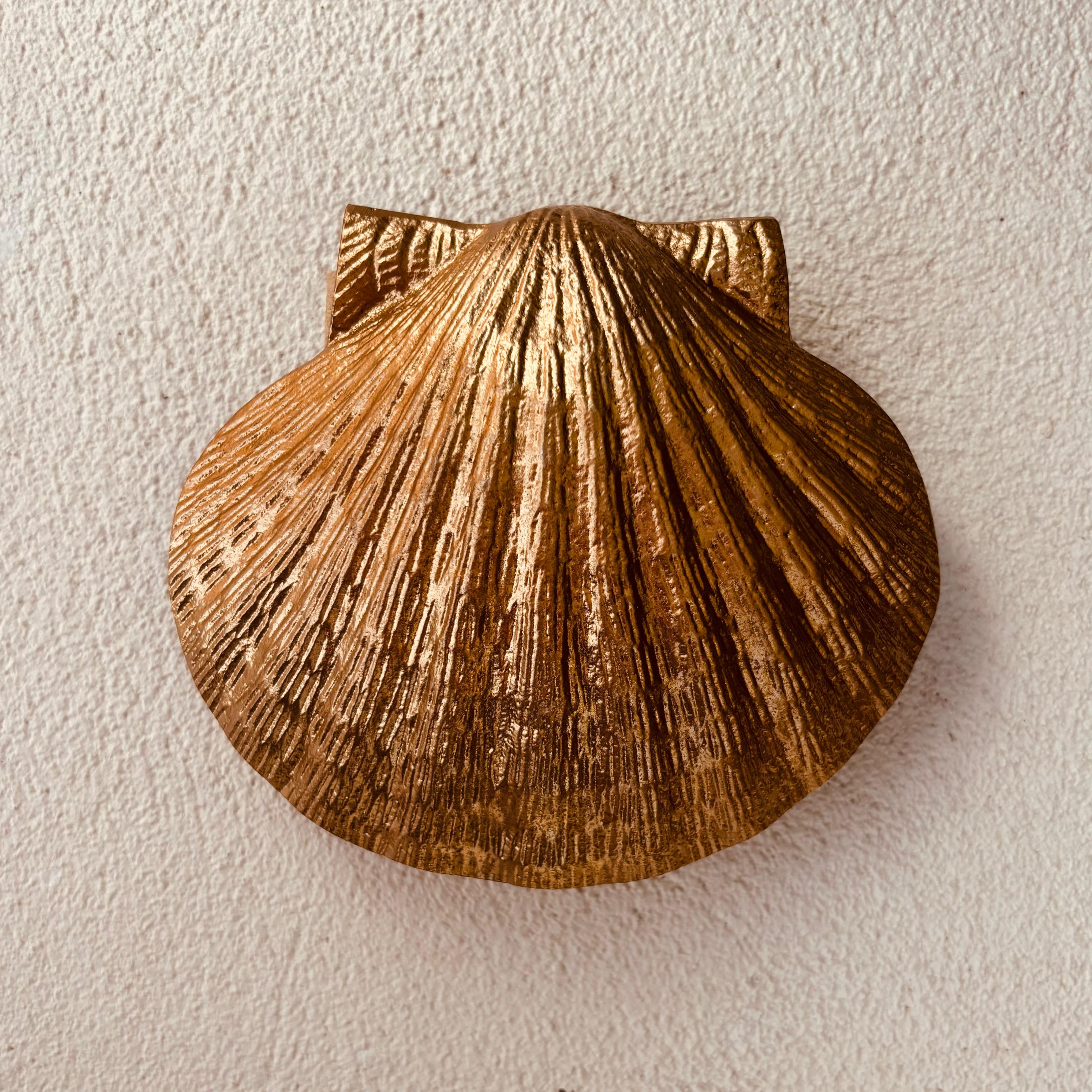 BEACHCOMBER SHELL DOOR KNOCKER ~ BRASS