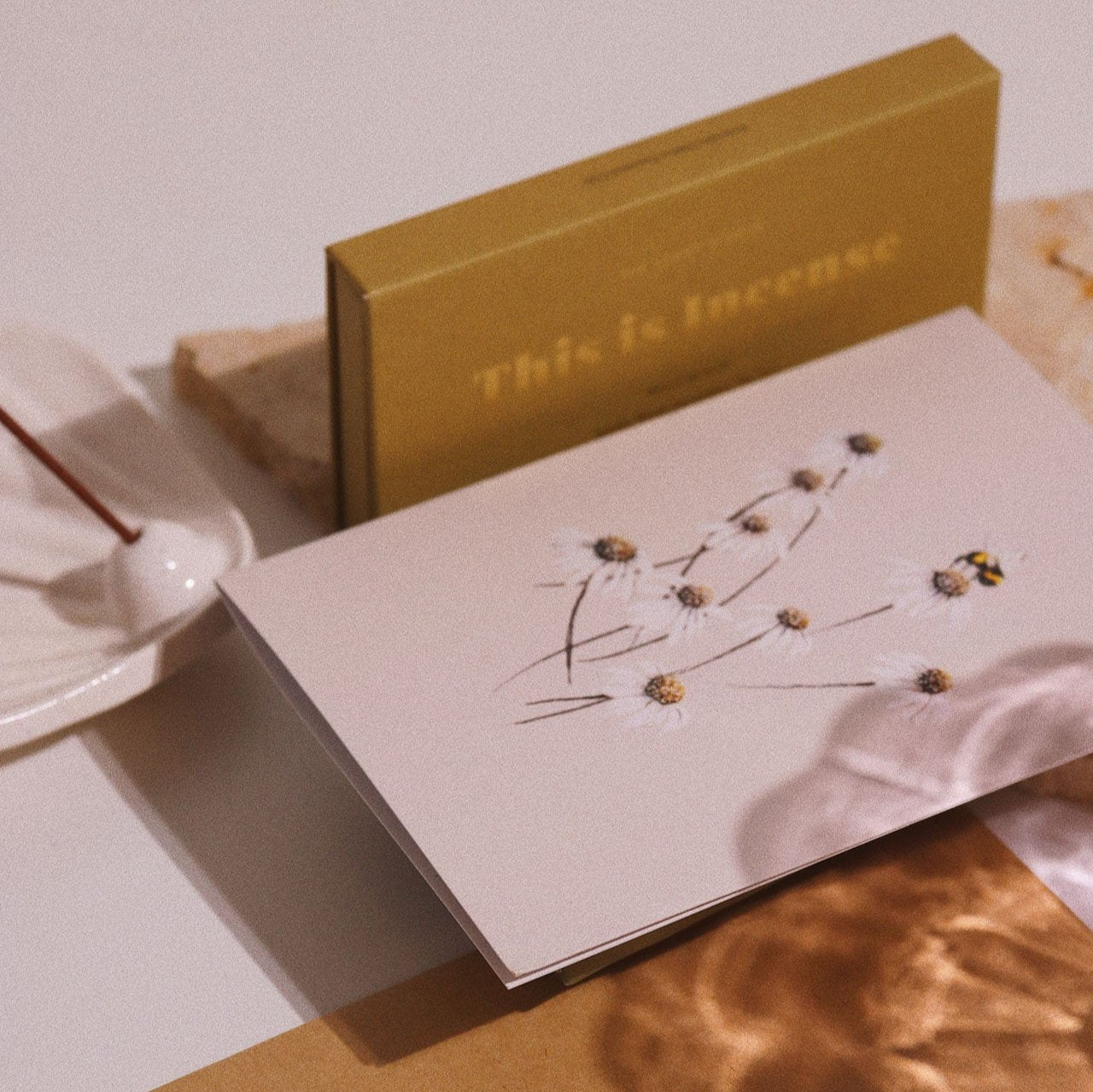 BRIGITTE MAY - DAISIES ⁓ BLANK CARD