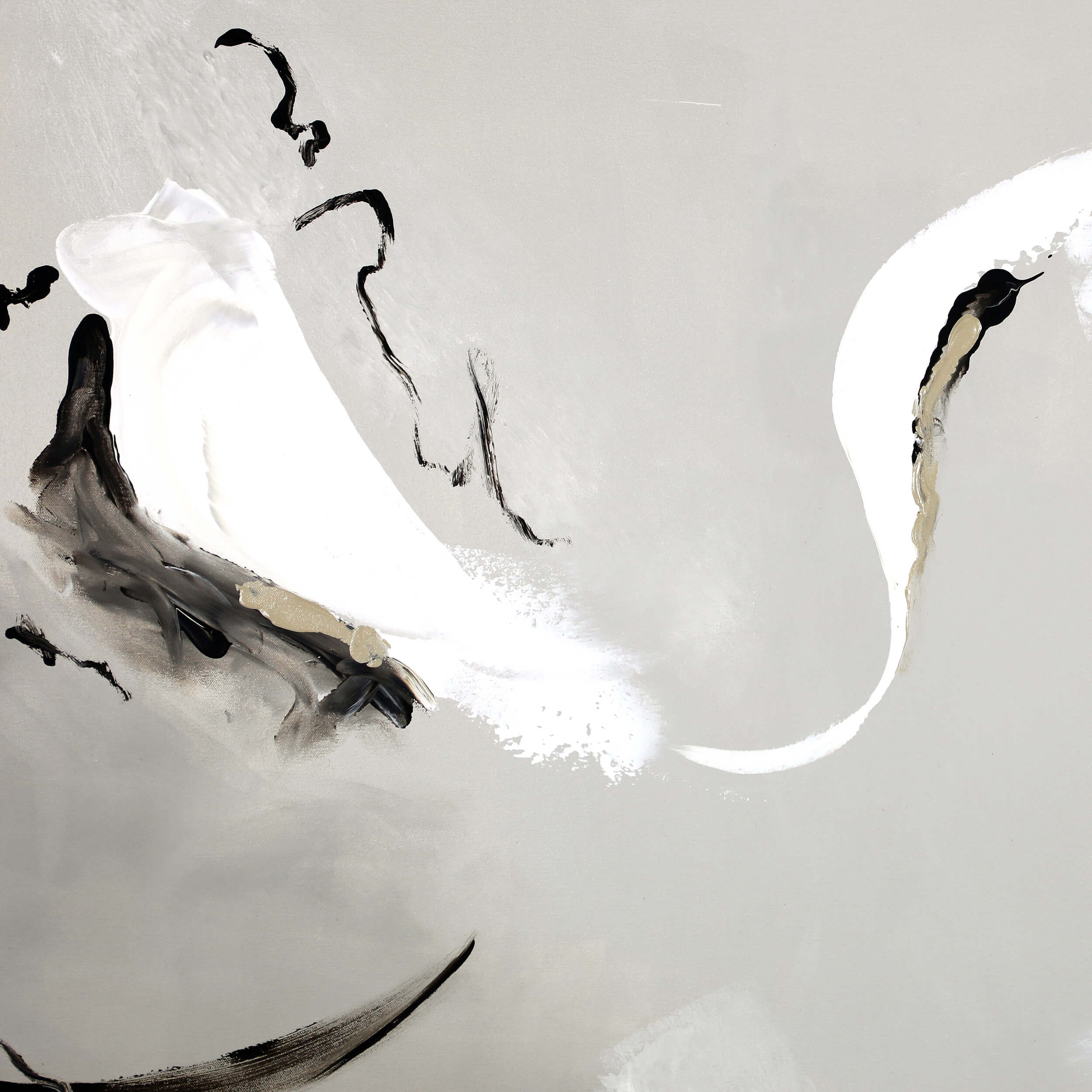 DELICATE ECHO I ARTWORK ~ LEE J MORGAN